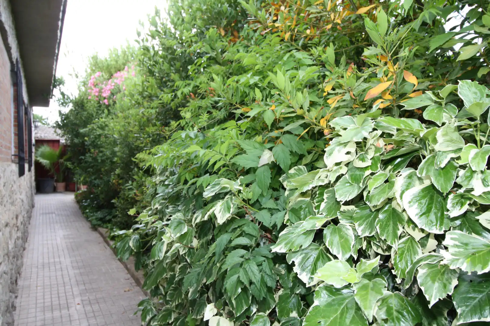 Jardí de Casa o xalet en venda en Laguna de Duero amb Calefacció, Jardí privat i Terrassa
