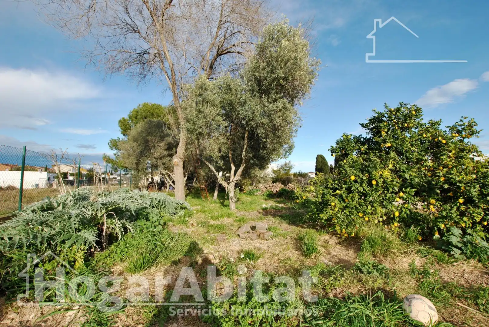 Casa o xalet en venda en Oliva amb Aire condicionat, Jardí privat i Terrassa