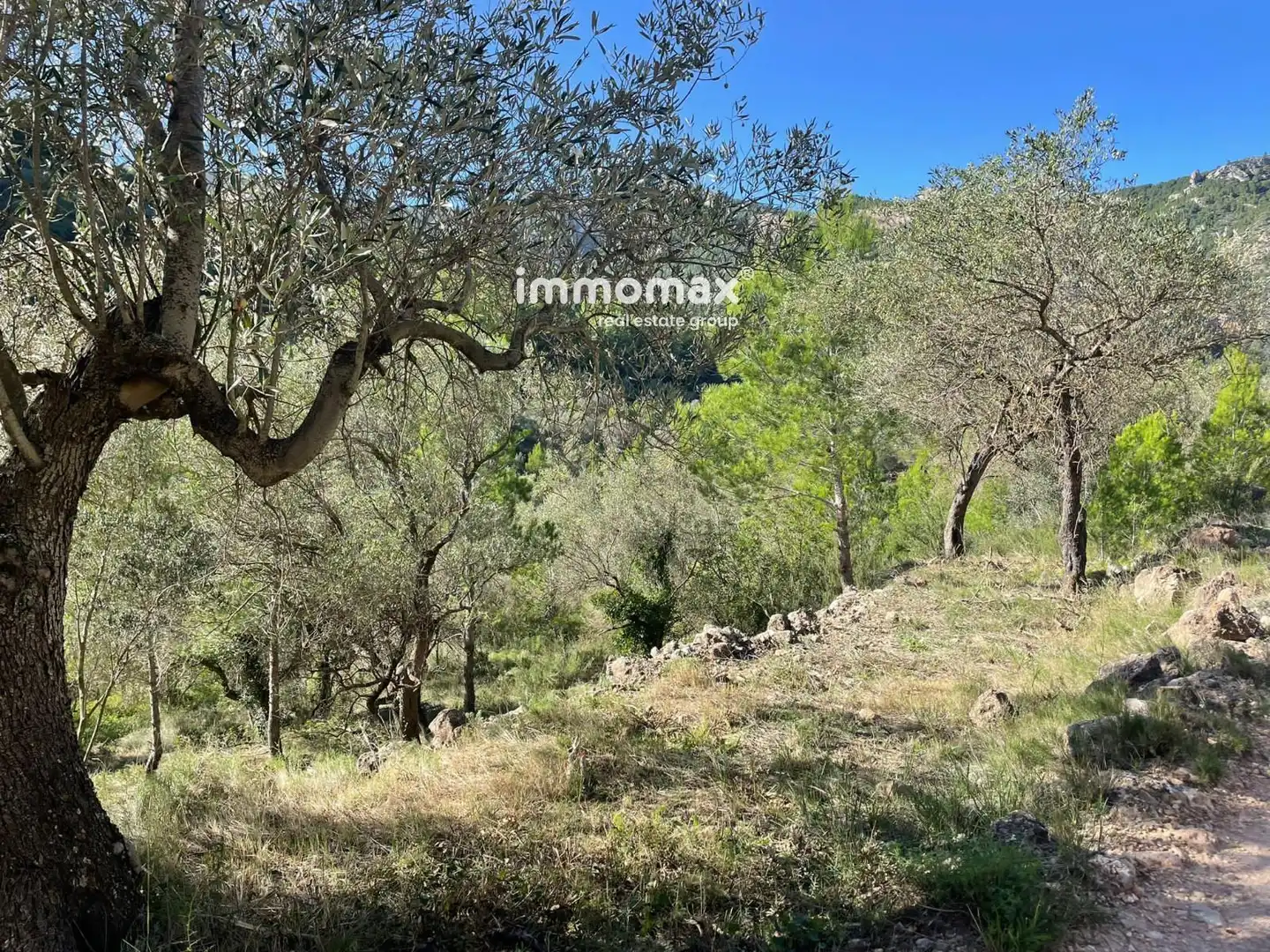 Wohnbaugrundstück zum Verkauf in valldembages, imagen 25