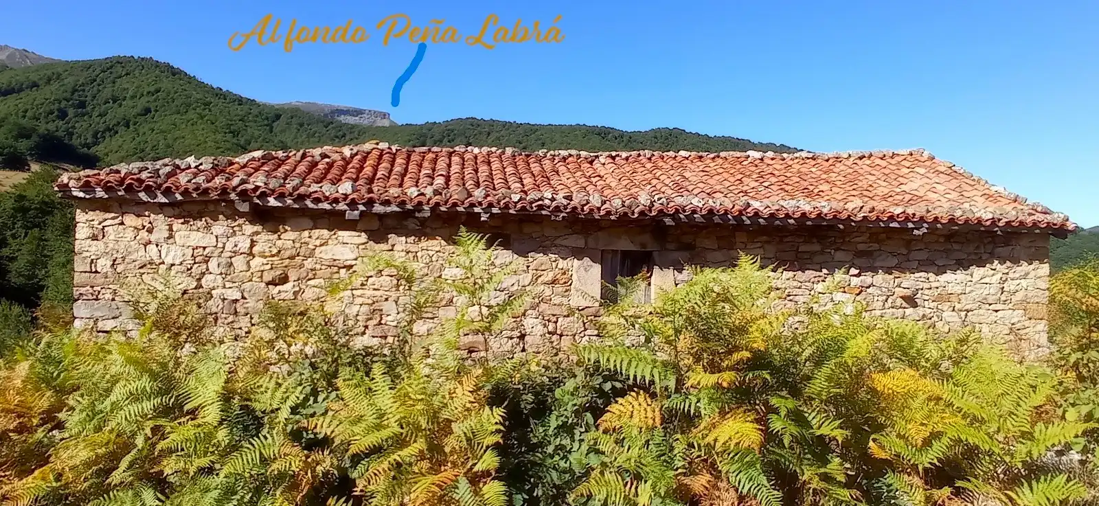 Vista exterior de Casa o chalet en venta en Polaciones con Jardín privado