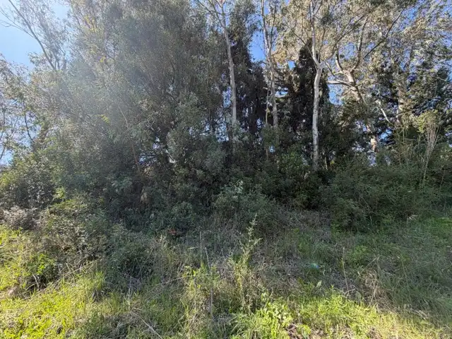 Terreno en venta en Benaocaz