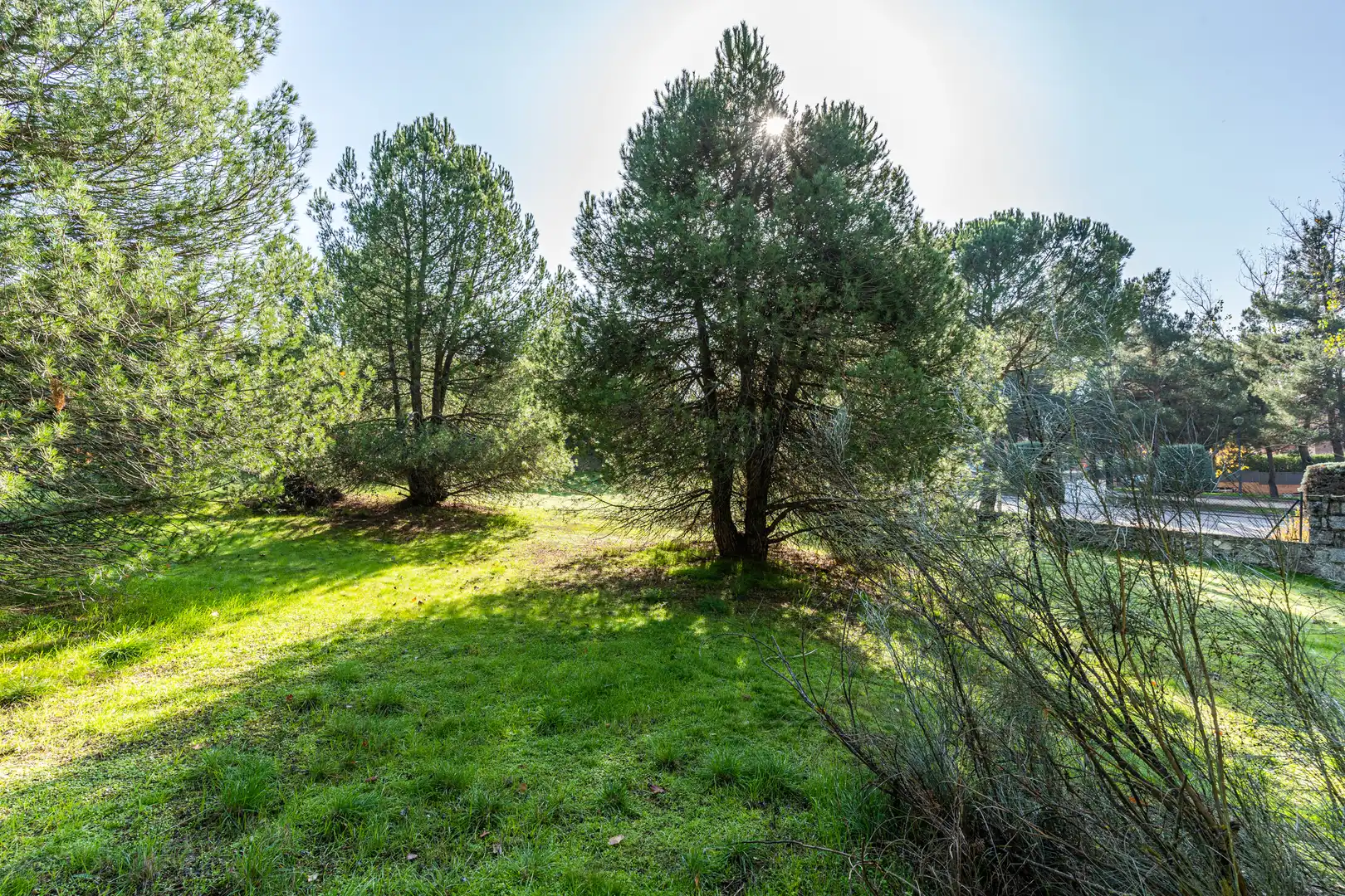 Residencial en venda en Las Rozas de Madrid