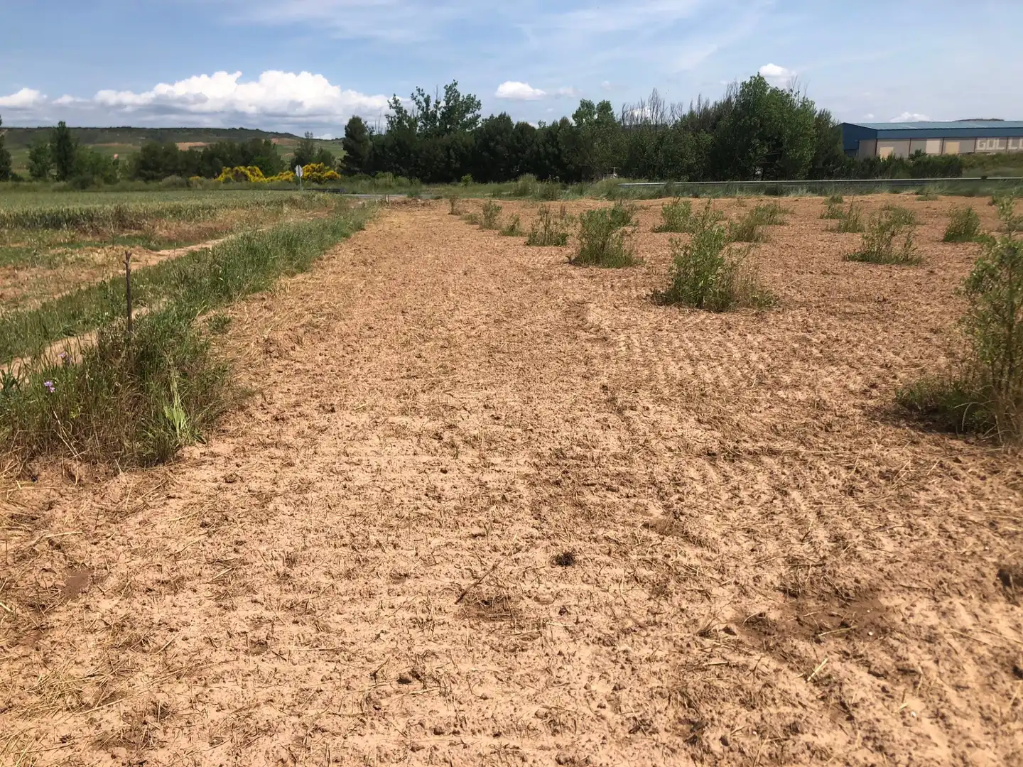 Terreny rústic en venda a Murillo de Río Leza, imagen 15