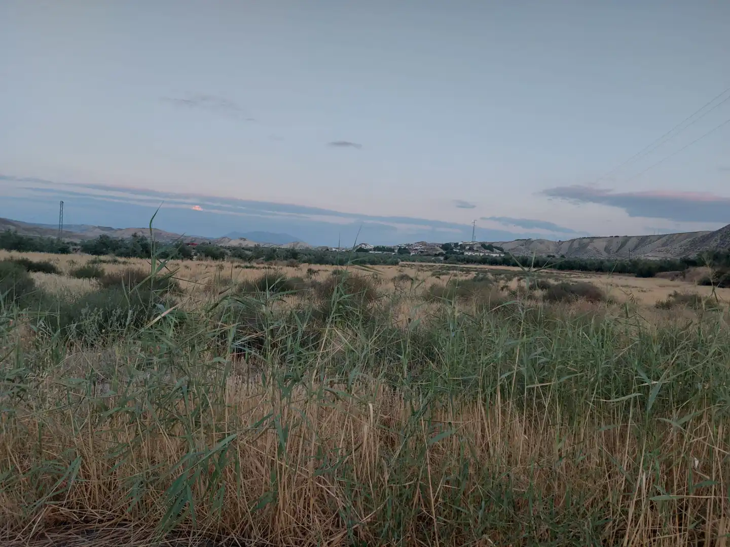 Terreno en venta en Alicún de Ortega