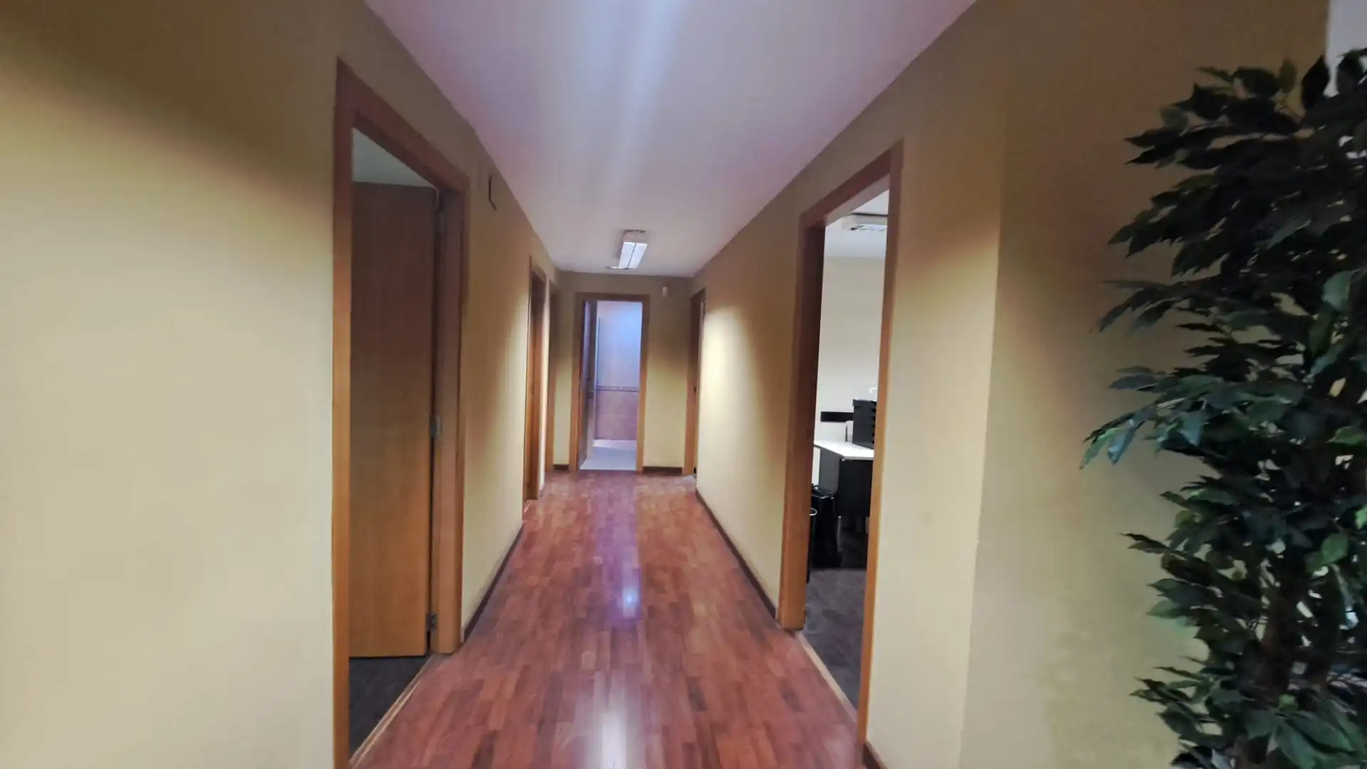 Büro mit Aufzug zur Miete in Carrer de les Garrigues, imagen 14