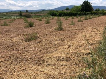 Rustikales Grundstück zum Verkauf in Murillo de Río Leza