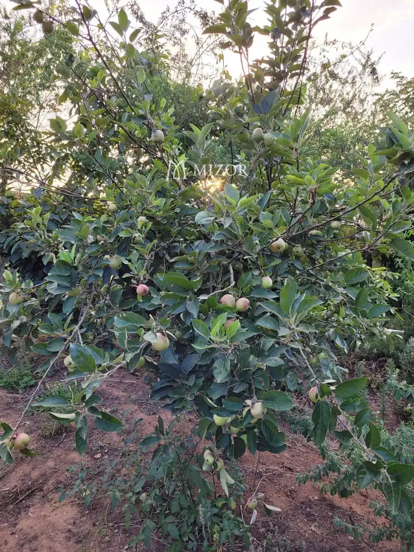 Rural land for sale in el rodeo, imagen 42