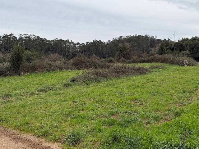 Terreno en Venta en Barrio Monasterio, 0 en Escobedo