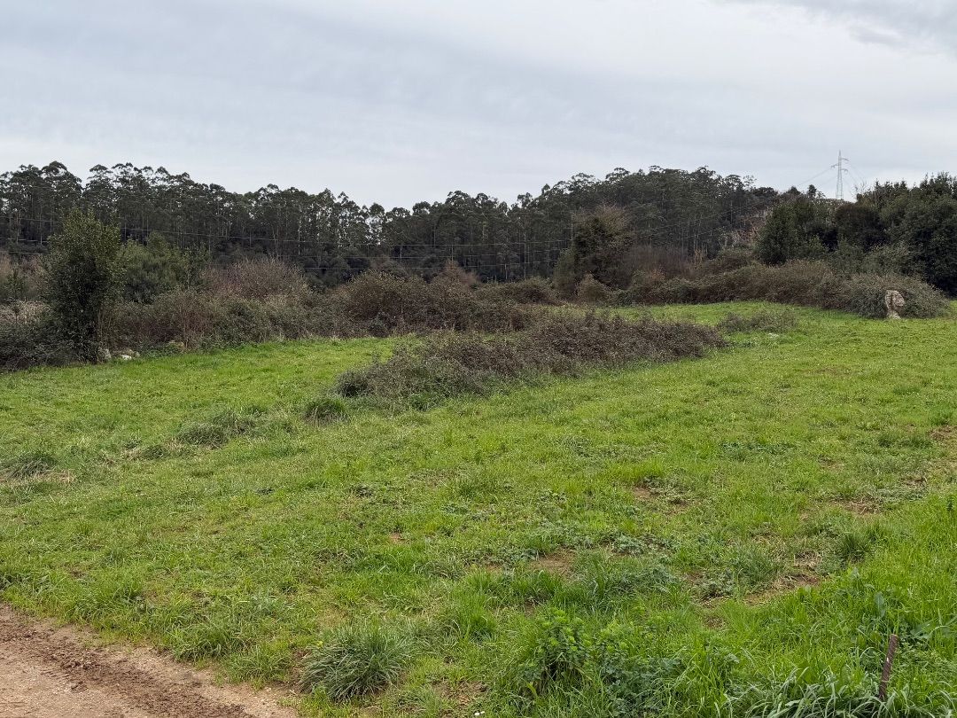 Land for sale in Camargo