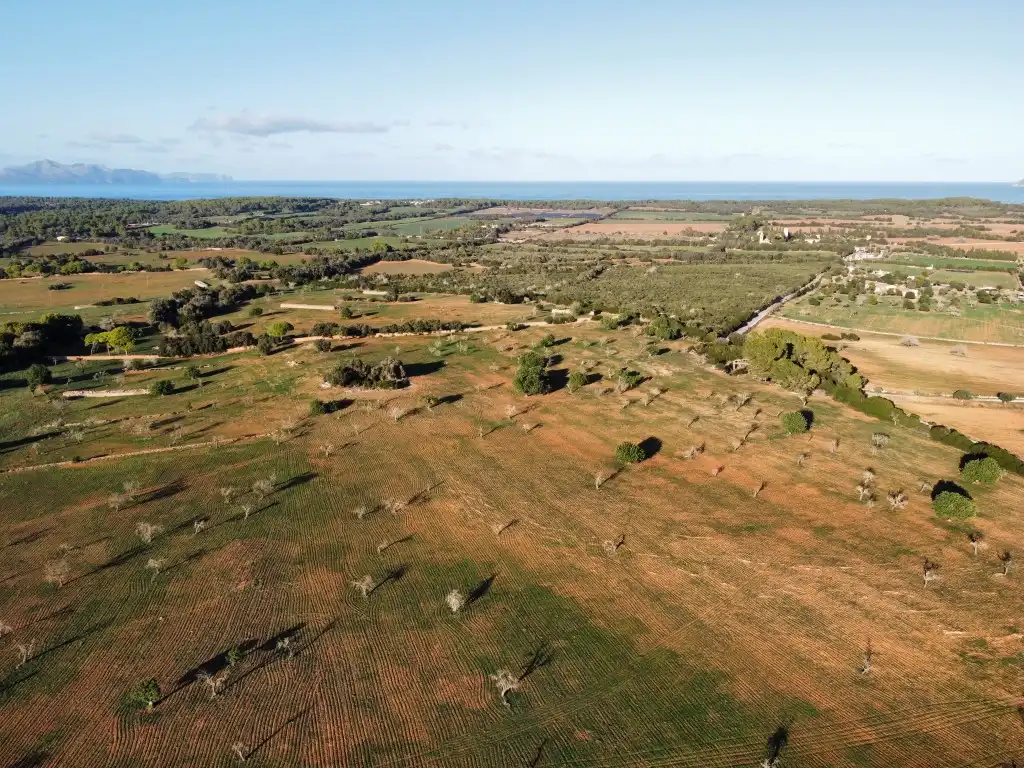 Finca rústica en venta en Santa Margalida