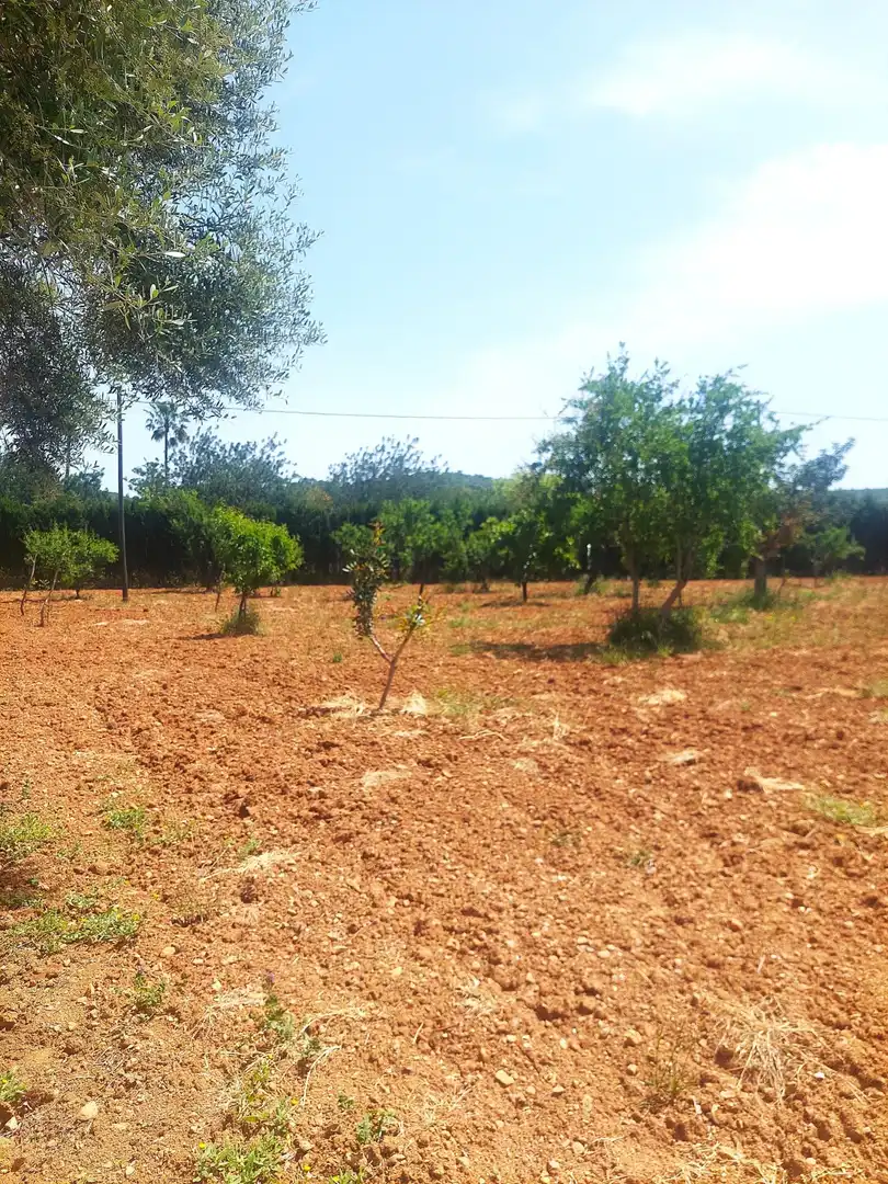 Finca rústica de alquiler en Alaró con Aire acondicionado, Jardín privado y Terraza