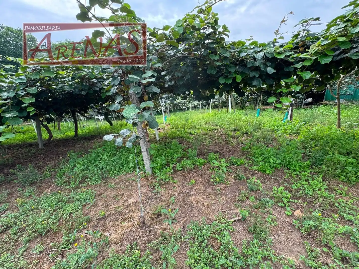 Land for sale in Marina de Cudeyo