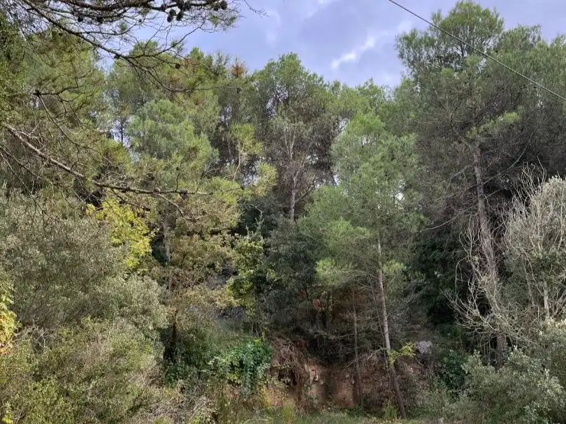 Wohnbaugrundstück zum Verkauf in Carrer Bosc 25