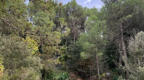 Terreno rural urbanizable de 600m2 con encanto natural