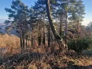 Residential land for sale in Diseminado Rust Muntanyola 27, imagen 9