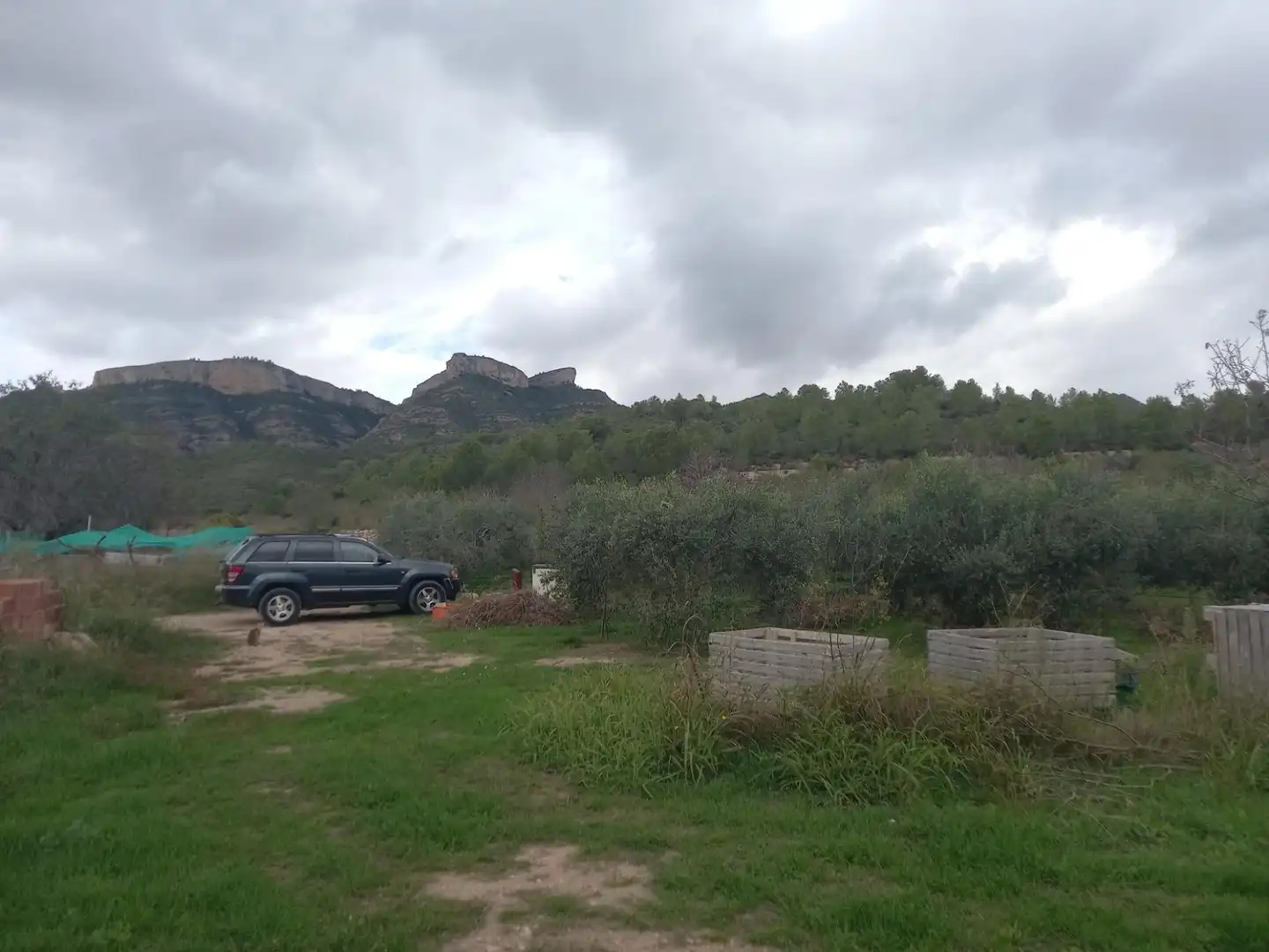Rural land for sale in El Pinell de Brai, imagen 7
