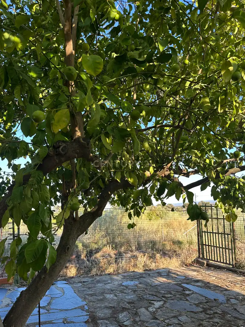 House with pool for sale in 10530 Serradilla, Spain, imagen 23