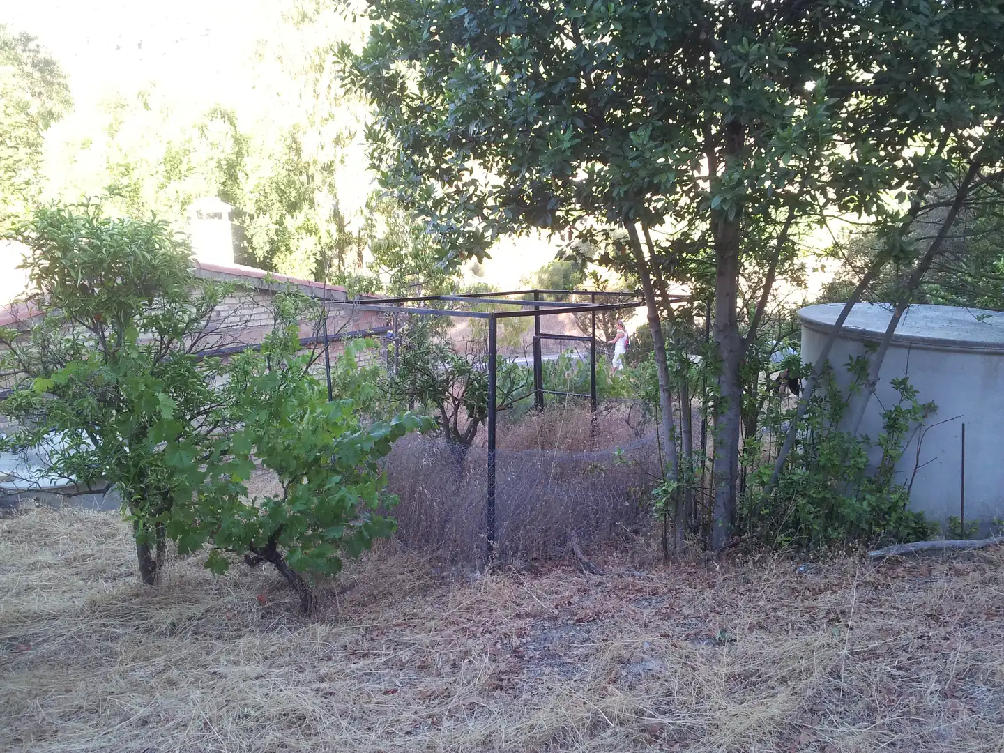 Jardín de Finca rústica en venta en Ubrique