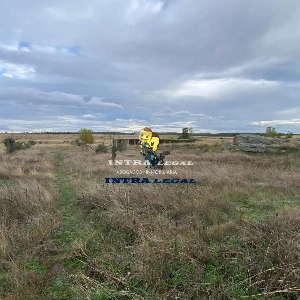 Land for sale in Miranda de Azán
