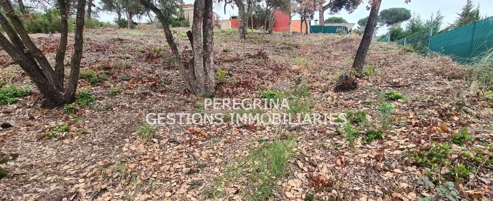 Wohnbaugrundstück zum Verkauf in Carrer Francesc Macíà 19, imagen 2