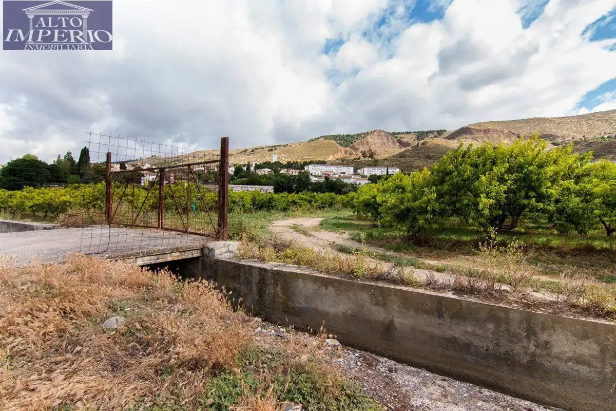 Vista exterior de Finca rústica en venta en Granada