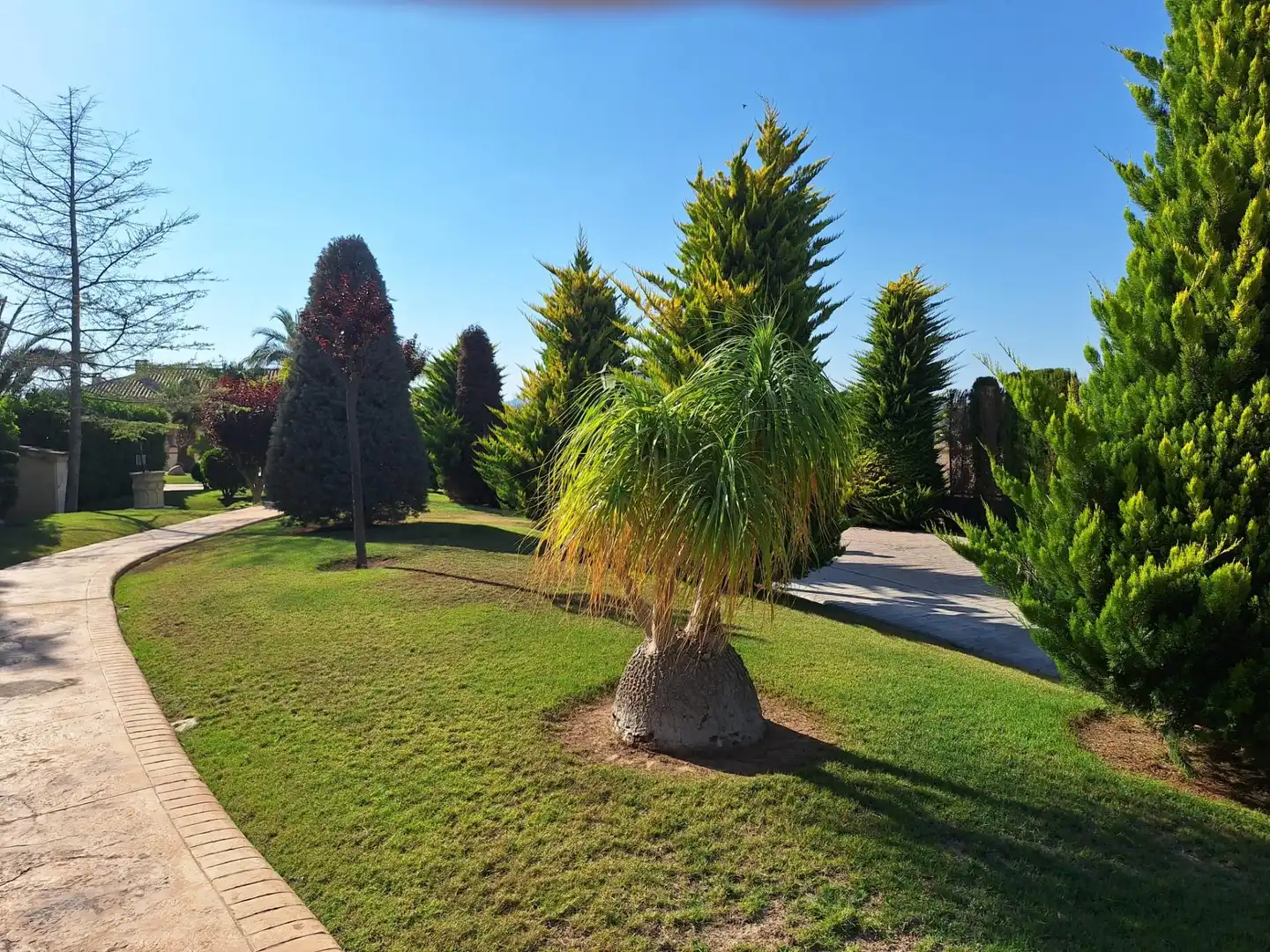 Chalet con piscina en venta en Pedanías Este, imagen 50