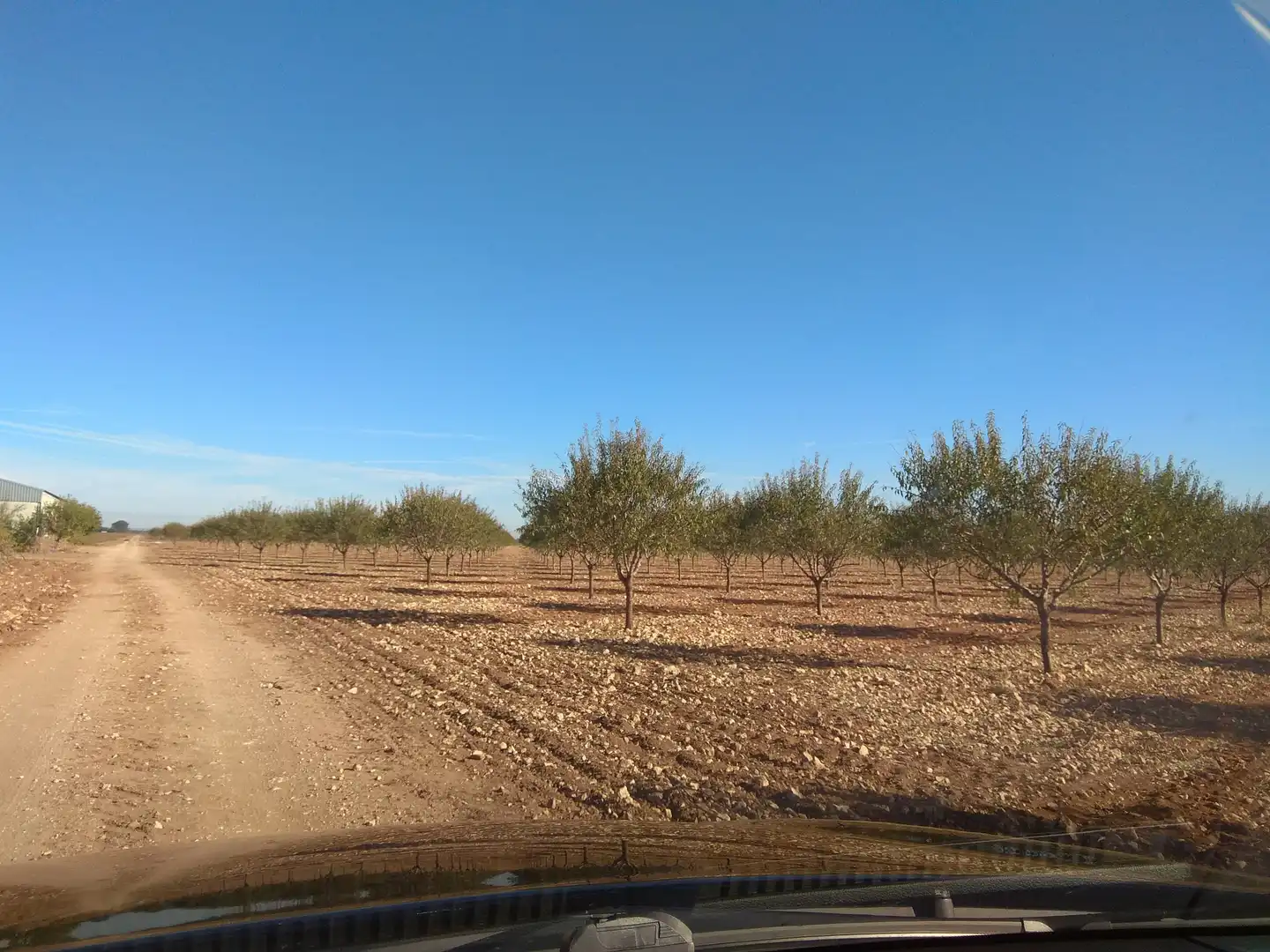 Terreni e lotti in vendita a Las Mesas, imagen 11