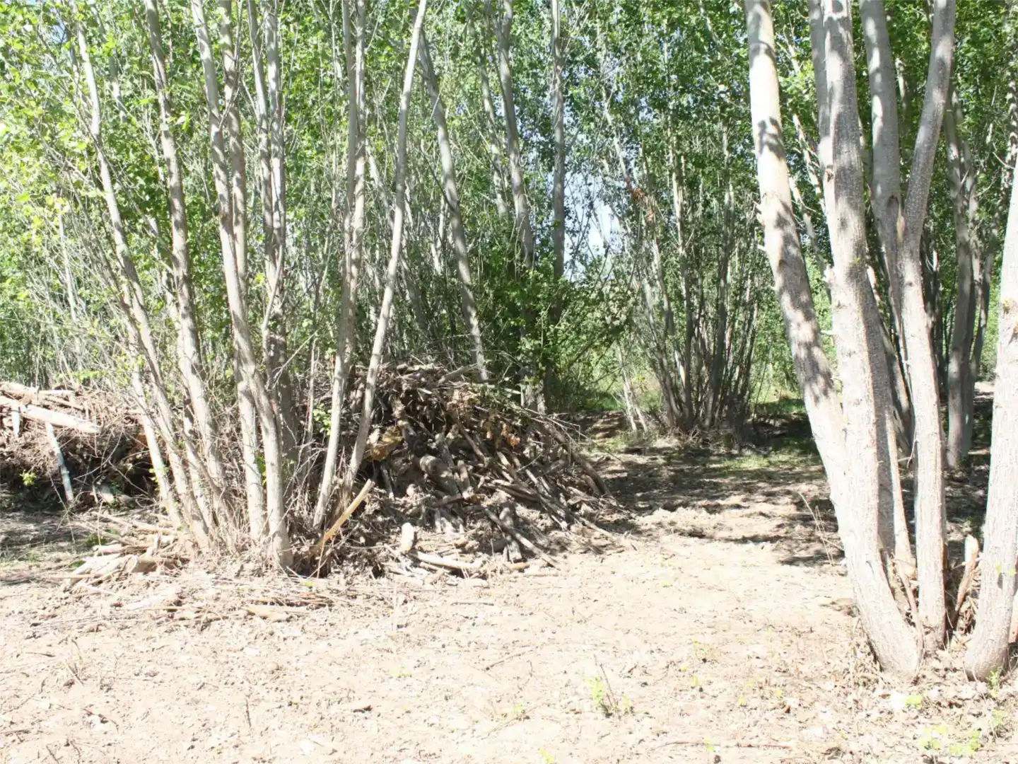 Terreno en venta en Castellote