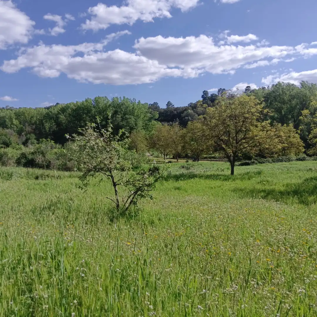 Finca rústica en venta en Castaño del Robledo