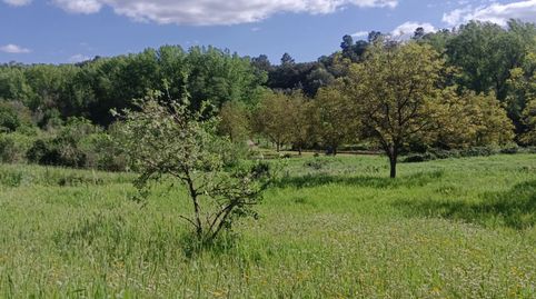 Foto 2 de Finca rústica en venda a Castaño del Robledo, Huelva
