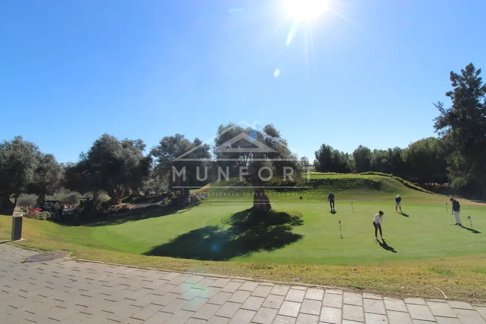House with pool for sale in Algorfa, imagen 46