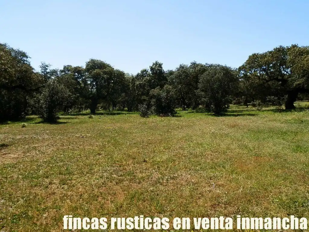 Terreno rustico in vendita a Ciudad Rodrigo, imagen 21