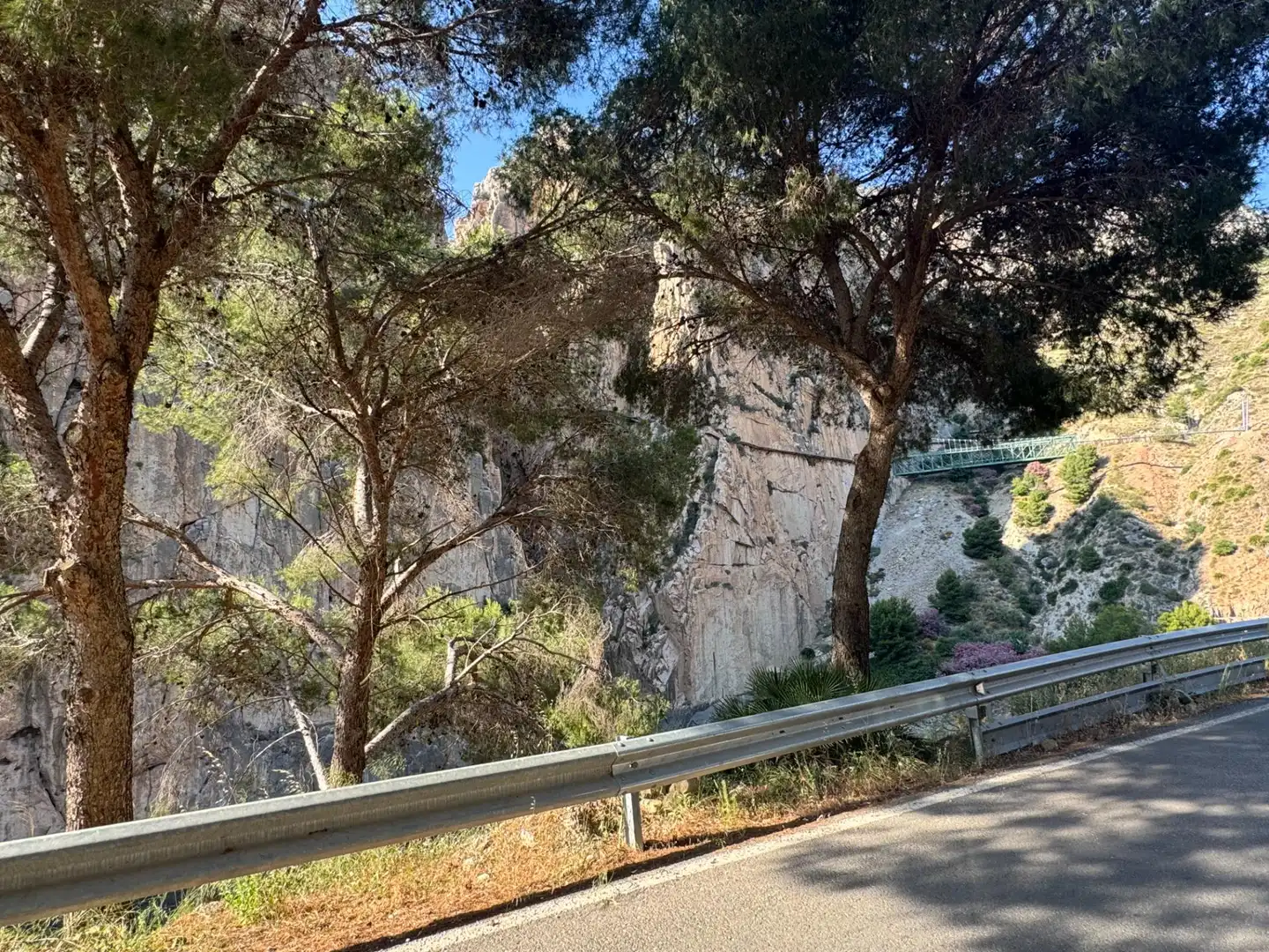 Vista exterior de Finca rústica en venta en Ardales con Jardín privado y Terraza