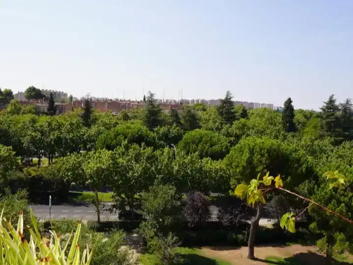 Jardín de Ático de alquiler en  Madrid Capital con Aire acondicionado y Piscina