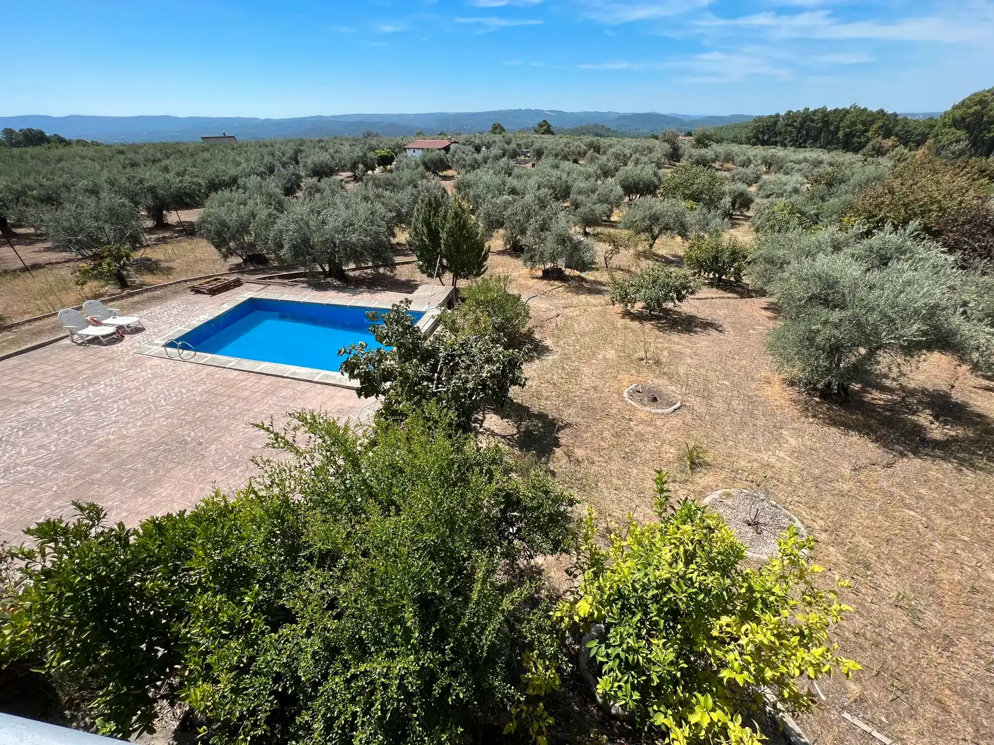 House with pool for sale in Calle José Gochicoa 2, imagen 30