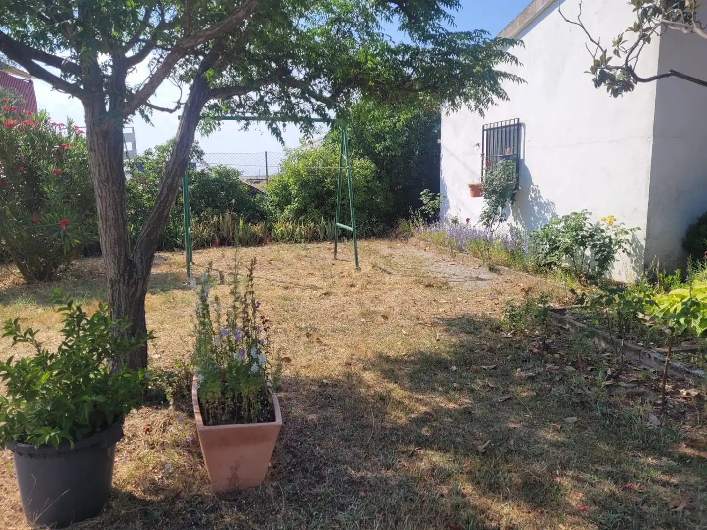 Jardín de Casa o chalet en venta en Matapozuelos con Calefacción y Jardín privado