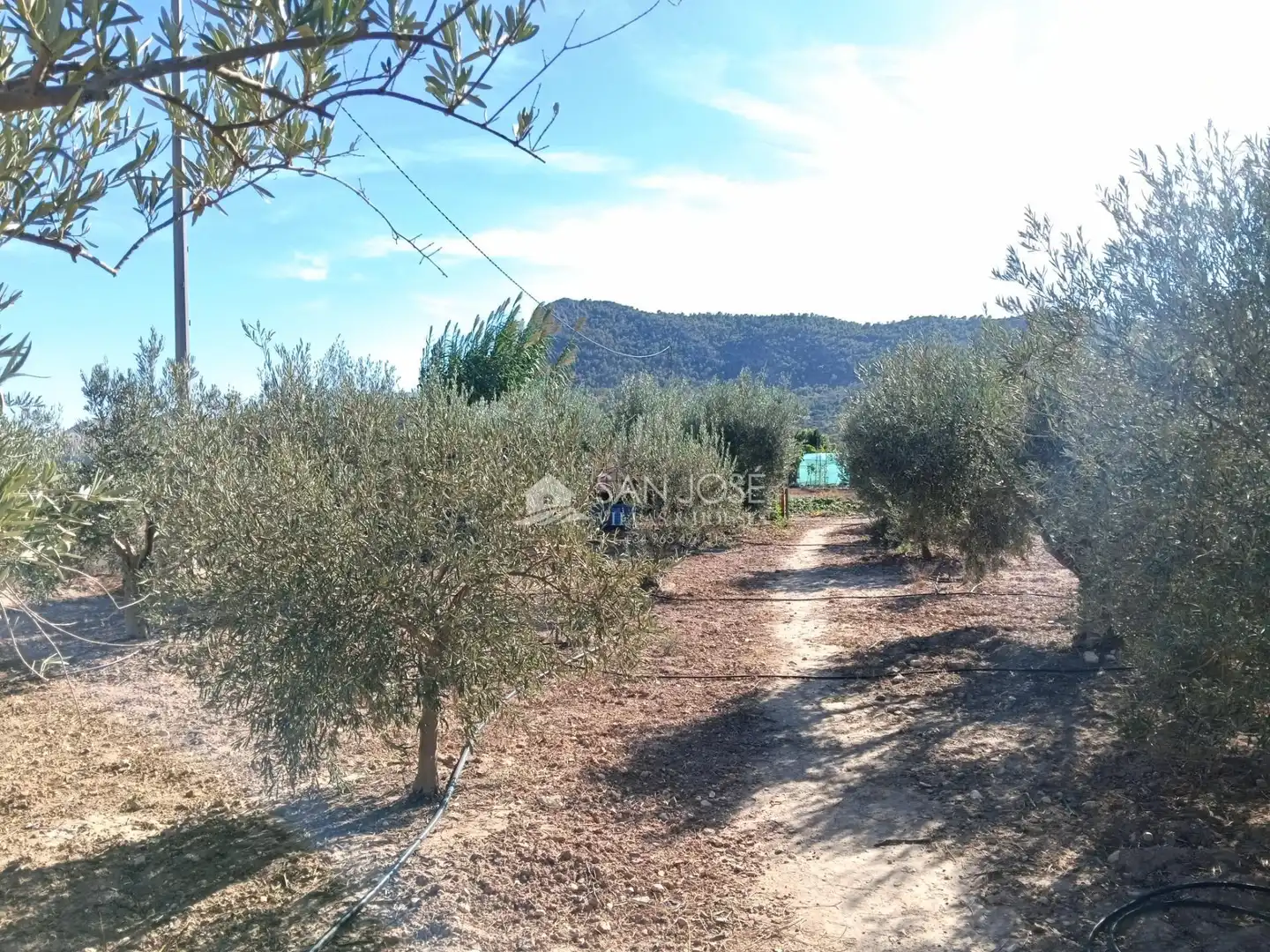 Chalet con jardín en venta en Pedanías Oeste, imagen 22