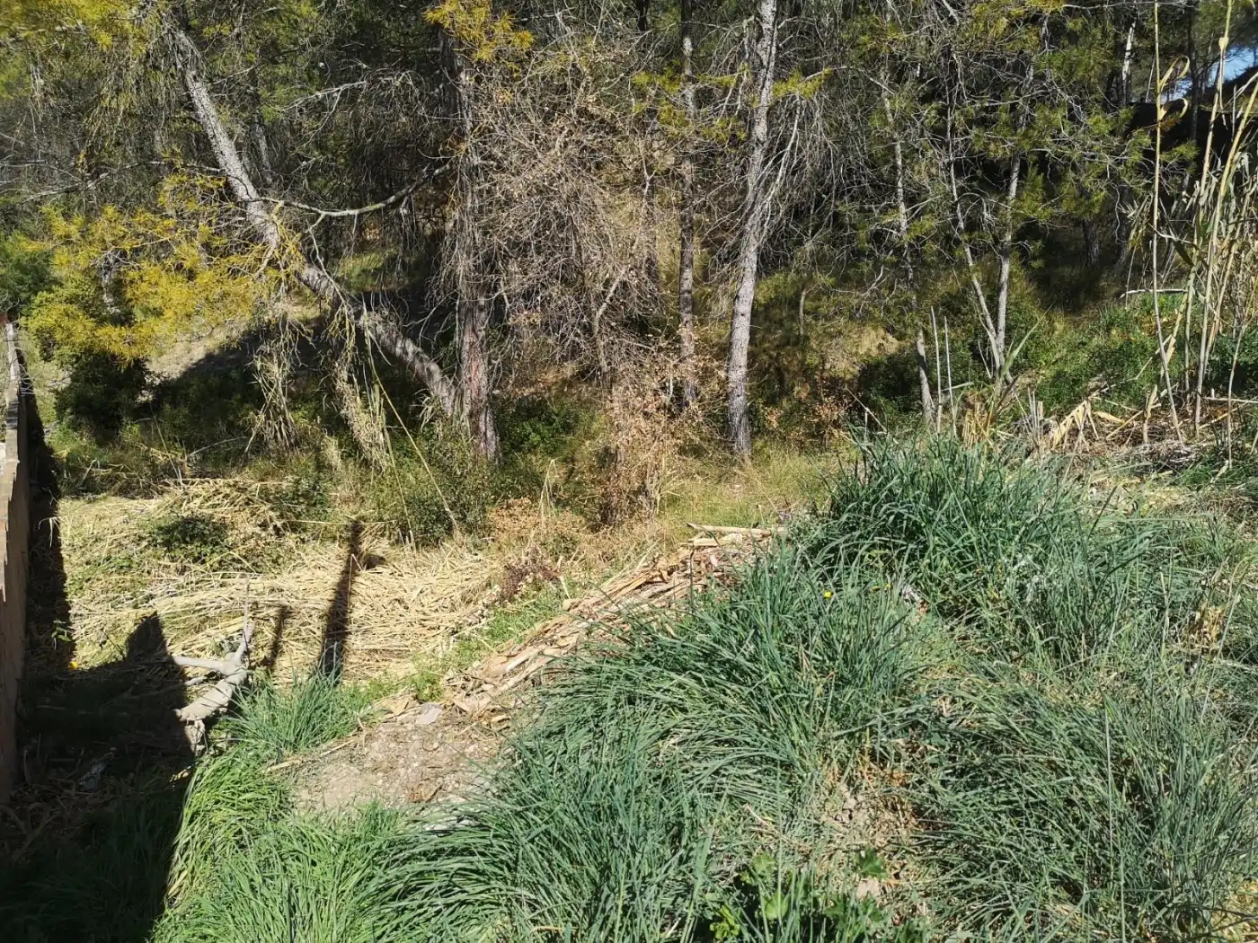 Lands and plots for sale in La Pobla de Claramunt, imagen 4