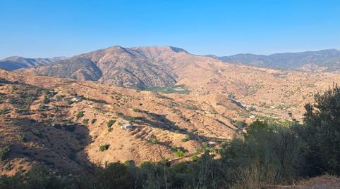 Foto 4 de Casa o xalet en venda a Carretera de Casabermeja, Residencial Jardín Botánico, Málaga