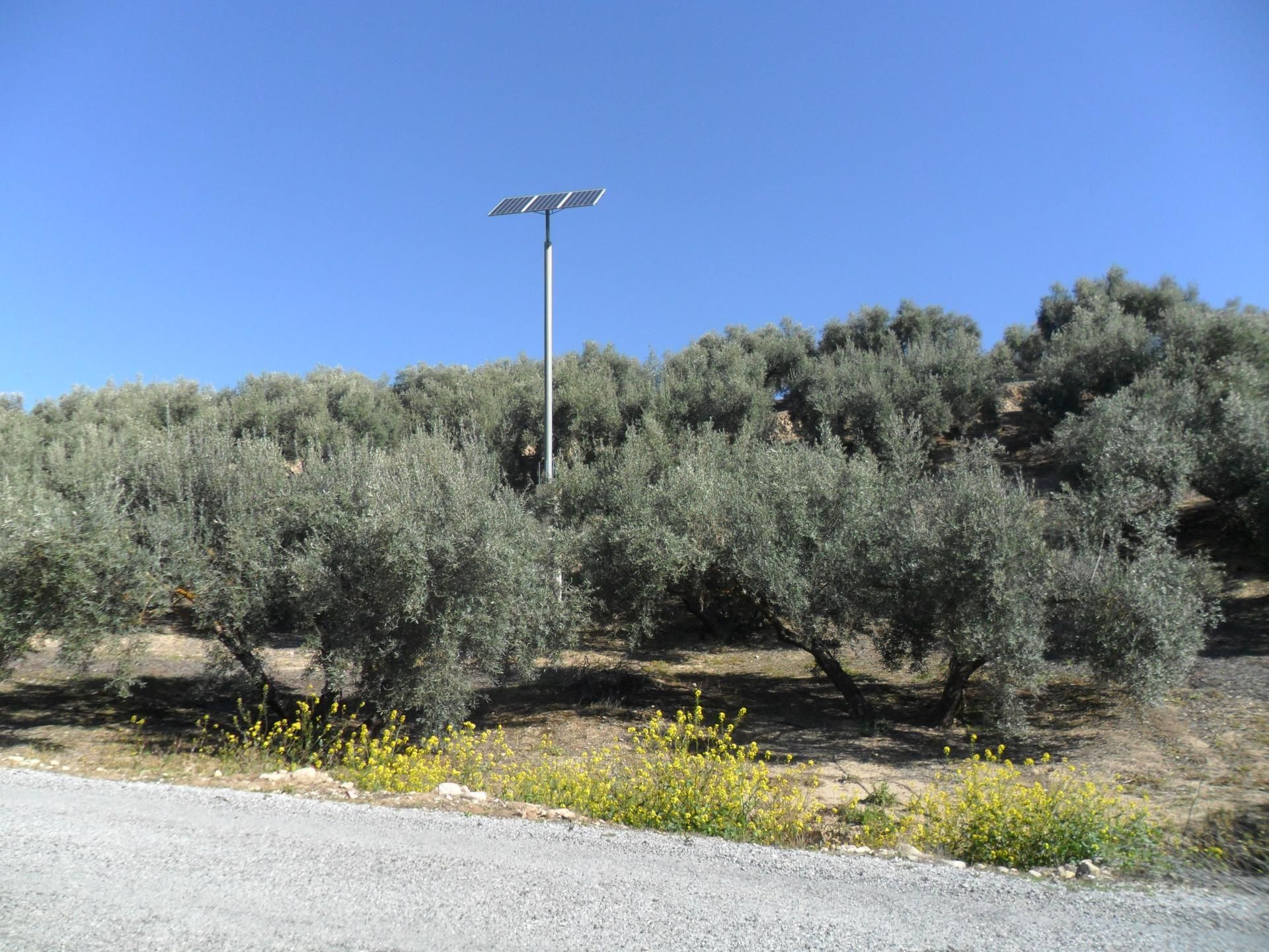 Land for sale in Moclín