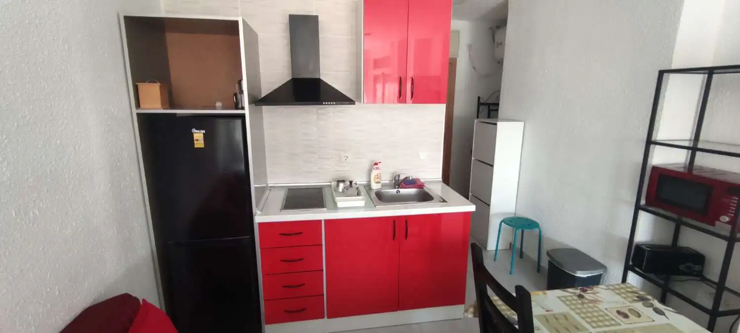 Kitchen of Study for rent in Torremolinos  with Furnished and Pets allowed