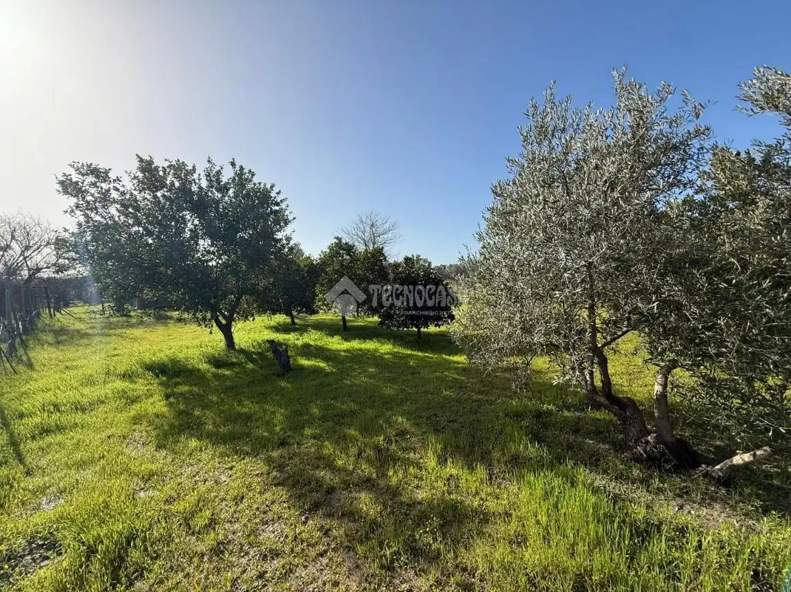 Terreno en venta en Arahal