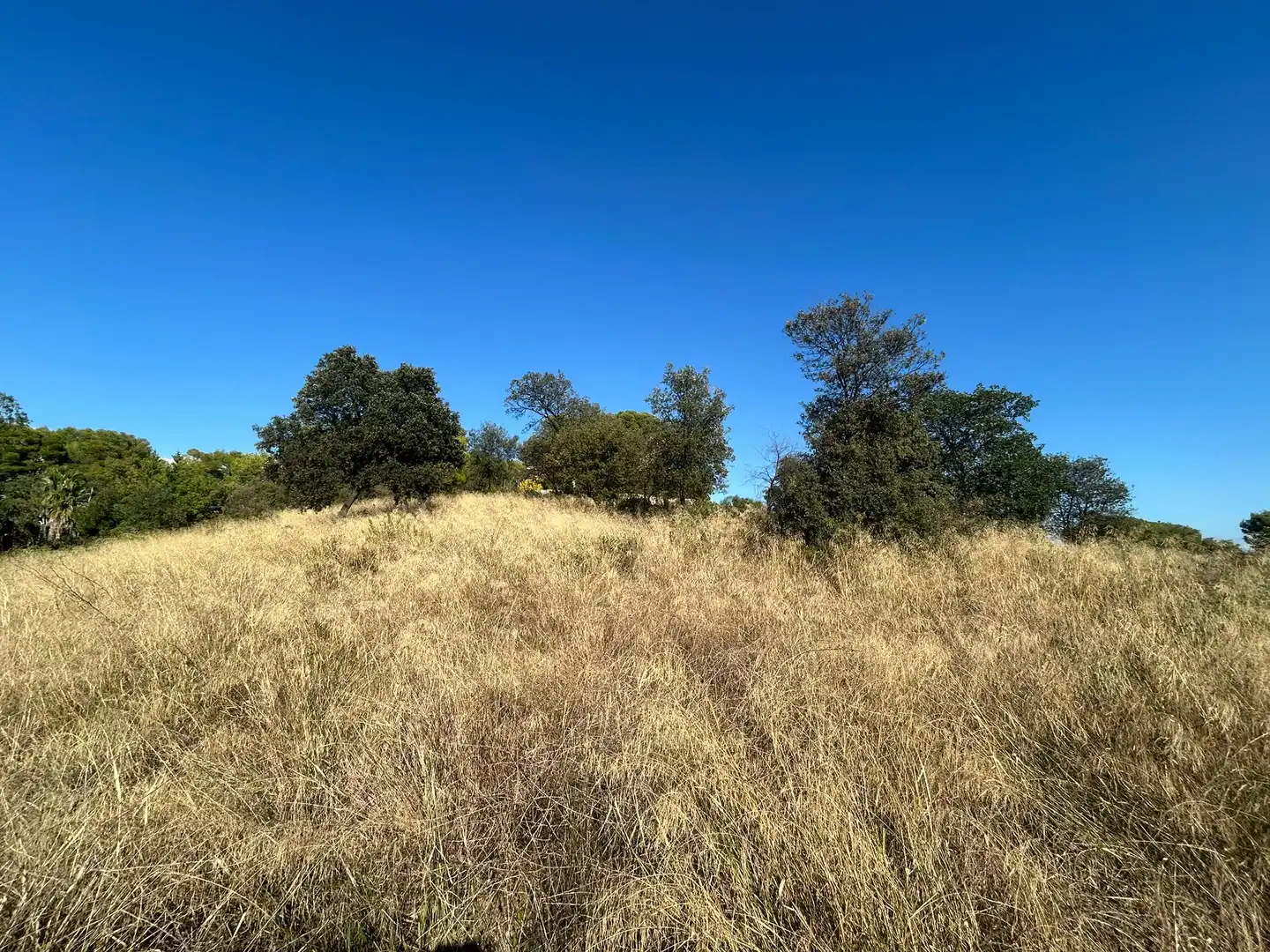 Residential land for sale in Carrer Cedre 22, imagen 3
