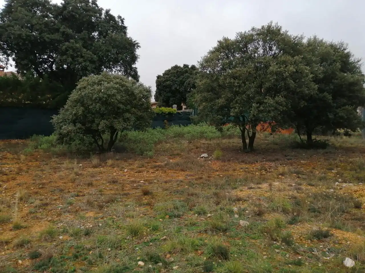 Lands and plots for sale in Del Barranco Del Soto, imagen 3