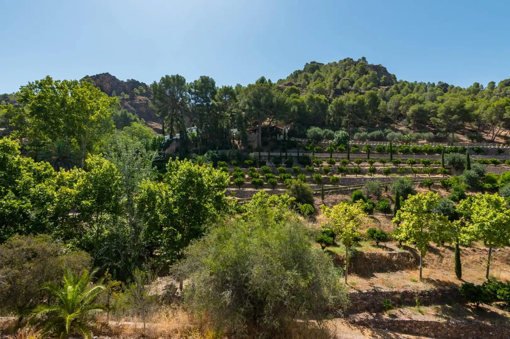 Chalet con piscina en venta en Pedanías Este