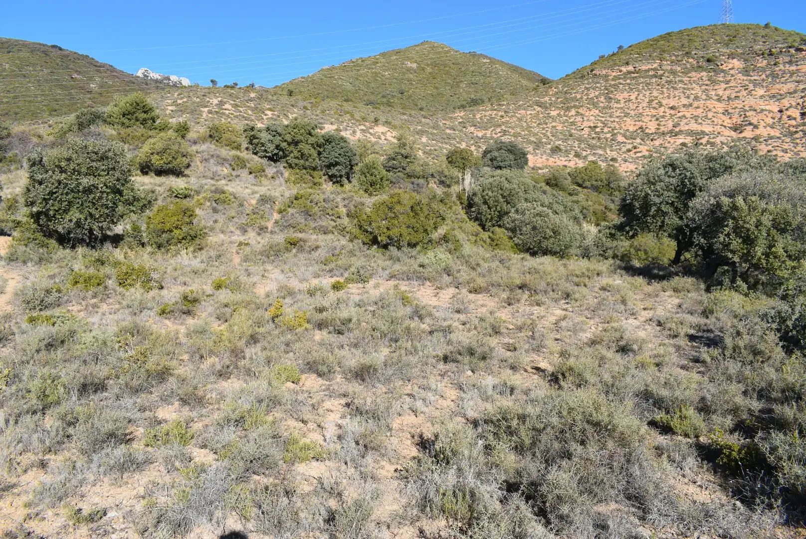 Residencial en venta en Nueno