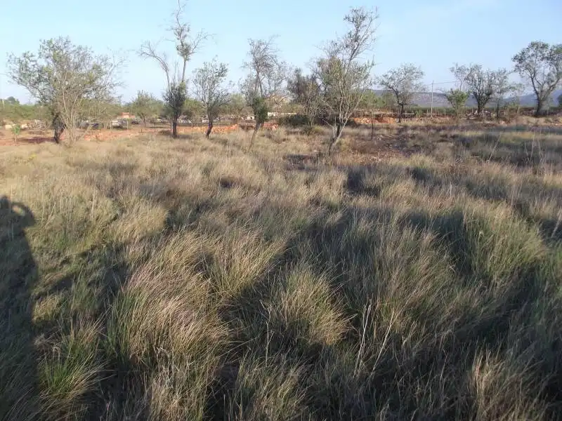 Terreny rústic en venda a PARCELA, imagen 7