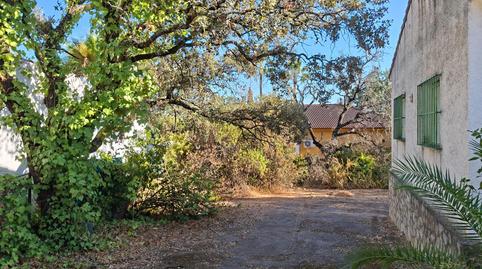 Photo 3 of House or chalet for sale in Urbanizacion las Nieves (zona las Pajanosas - Guil, Guillena pueblo, Sevilla