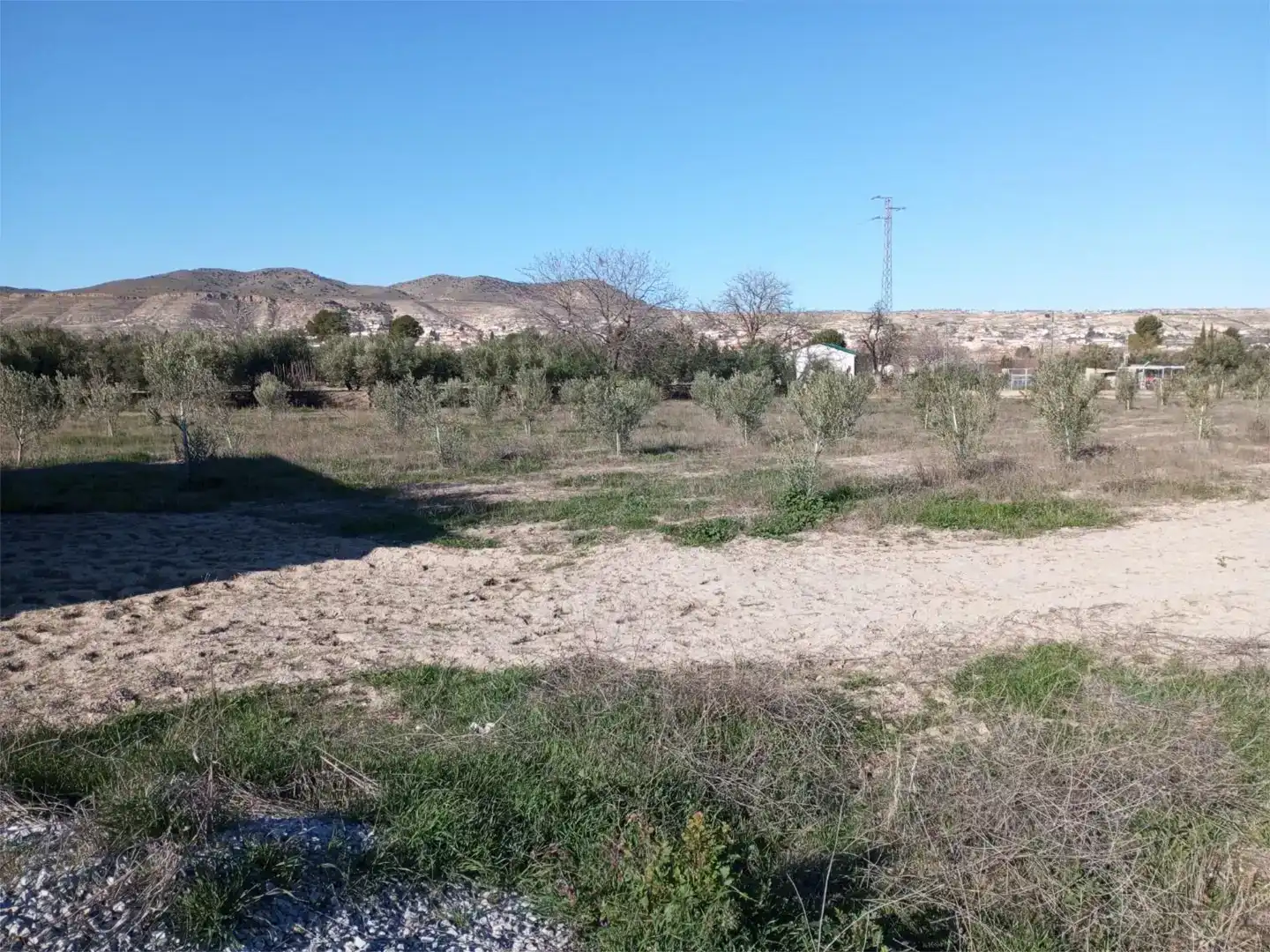 Casa o chalet en venta en Baza