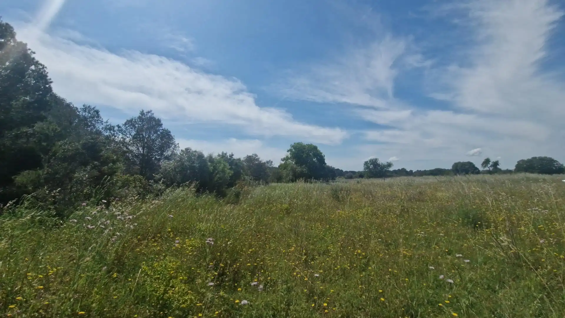Terreno rustico in vendita a Valls, imagen 26